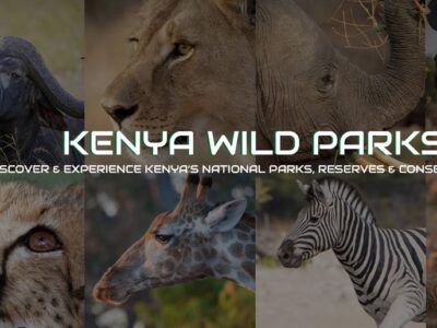 Kenya Wild Parks Travel & Tours