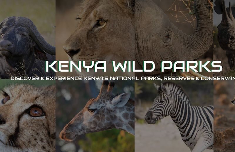 Kenya Wild Parks Travel & Tours