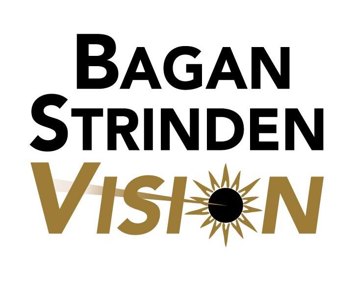 Bagan Strinden Vision