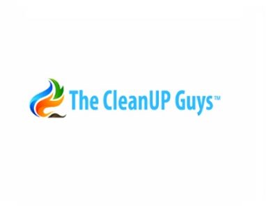 The CleanUP Guys